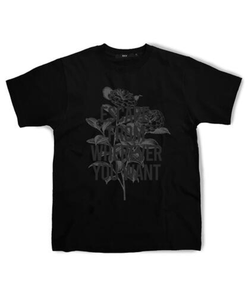 ESCAPEFROM（エスケープフロム）の「グレーラインカミリアTシャツブラック（Tシャツ/カットソー・レディース・その他・MEDIUM/LARGE/SMALL）」の2枚目の写真