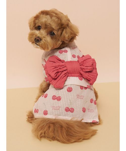 muumdog】クールクロスニット カラフルチョコスプレー/犬服(ドッグ