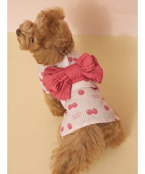 gelato pique(ジェラートピケ)の「【CAT&DOG】浴衣(ペットウェア・レディース・ブルー/イエロー/ライム/ピンク・S/M/L)」の6枚目の写真