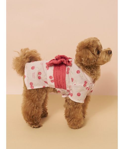 gelato pique(ジェラートピケ)の「【CAT&DOG】浴衣(ペットウェア・レディース・ブルー/イエロー/ライム/ピンク・S/M/L)」の7枚目の写真