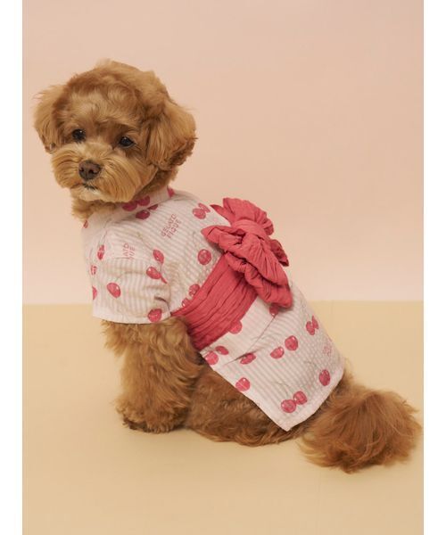 gelato pique(ジェラートピケ)の「【CAT&DOG】浴衣(ペットウェア・レディース・ブルー/イエロー/ライム/ピンク・S/M/L)」の8枚目の写真