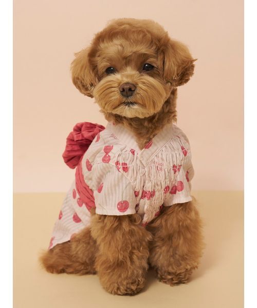 gelato pique(ジェラートピケ)の「【CAT&DOG】浴衣(ペットウェア・レディース・ブルー/イエロー/ライム/ピンク・S/M/L)」の9枚目の写真