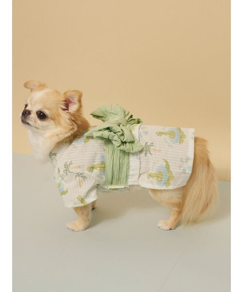 gelato pique(ジェラートピケ)の「【CAT&DOG】浴衣(ペットウェア・レディース・ブルー/イエロー/ライム/ピンク・S/M/L)」の12枚目の写真