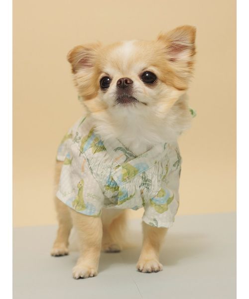 gelato pique(ジェラートピケ)の「【CAT&DOG】浴衣(ペットウェア・レディース・ブルー/イエロー/ライム/ピンク・S/M/L)」の13枚目の写真