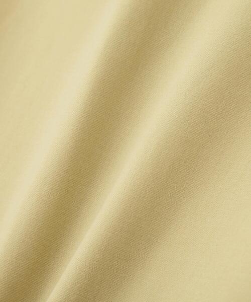YLEVE(イレーヴ)の「YLEVE / 100/2 GV TWILL DOUBLE WEAVE SKIRT(スカート・レディース・イエロー/ブラック・0/1)」の22枚目の写真