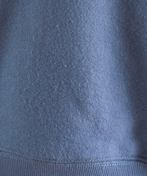 FREAK'S STORE(フリークスストア)の「FRUIT OF THE LOOM×FREAK'S STORE/フルーツオブザルーム 別注 ハーフジップスウェット(Tシャツ/カットソー・レディース・イエロー/サックスブルー/ライトグレー・フリ-)」の17枚目の写真
