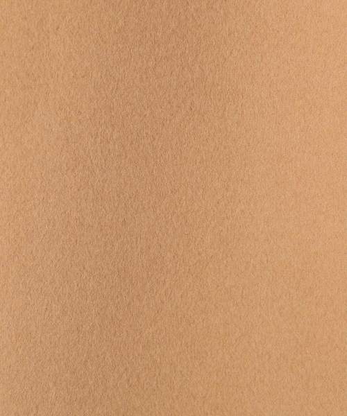 ESTNATION（エストネーション）の「ESTNATION / ロングチェスターコート（チェスターコート・レディース・キャメル/ネイビー・38/36）」の8枚目の写真