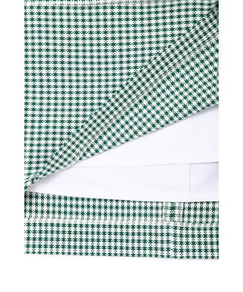 PINKY&DIANNE（ピンキーアンドダイアン）の「ギンガムストレッチラップレイヤードスカート（スカート・レディース・ブラック系その他/グリーン系その他・38/36/34）」の5枚目の写真