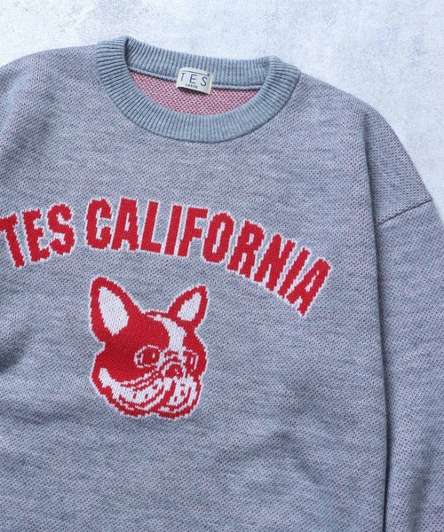 The Endless Summer（エンドレスサマー）の「TES COLLEGE BUHI CREWNECK KNIT / クルーネックニット（ニット/セーター・メンズ・ブラック/グリーン/グレー/ブルー/ネイビー・X-LARGE/SMALL/MEDIUM/LARGE）」の3枚目の写真