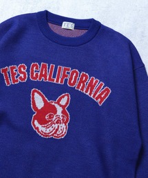TES COLLEGE BUHI CREWNECK KNIT / クルーネックニット