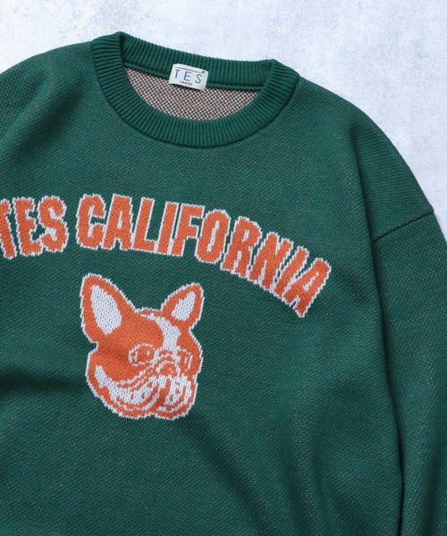 The Endless Summer（エンドレスサマー）の「TES COLLEGE BUHI CREWNECK KNIT / クルーネックニット（ニット/セーター・メンズ・ブラック/グリーン/グレー/ブルー/ネイビー・X-LARGE/SMALL/MEDIUM/LARGE）」の4枚目の写真