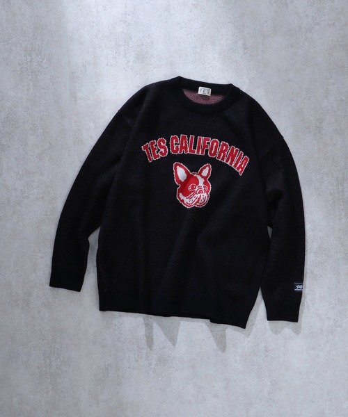 The Endless Summer（エンドレスサマー）の「TES COLLEGE BUHI CREWNECK KNIT / クルーネックニット（ニット/セーター・メンズ・ブラック/グリーン/グレー/ブルー/ネイビー・X-LARGE/SMALL/MEDIUM/LARGE）」の2枚目の写真