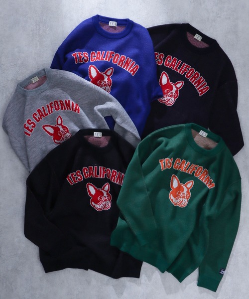 The Endless Summer（エンドレスサマー）の「TES COLLEGE BUHI CREWNECK KNIT / クルーネックニット（ニット/セーター・メンズ・ブラック/グリーン/グレー/ブルー/ネイビー・X-LARGE/SMALL/MEDIUM/LARGE）」の15枚目の写真