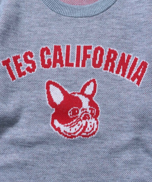 The Endless Summer（エンドレスサマー）の「TES COLLEGE BUHI CREWNECK KNIT / クルーネックニット（ニット/セーター・メンズ・ブラック/グリーン/グレー/ブルー/ネイビー・X-LARGE/SMALL/MEDIUM/LARGE）」の8枚目の写真