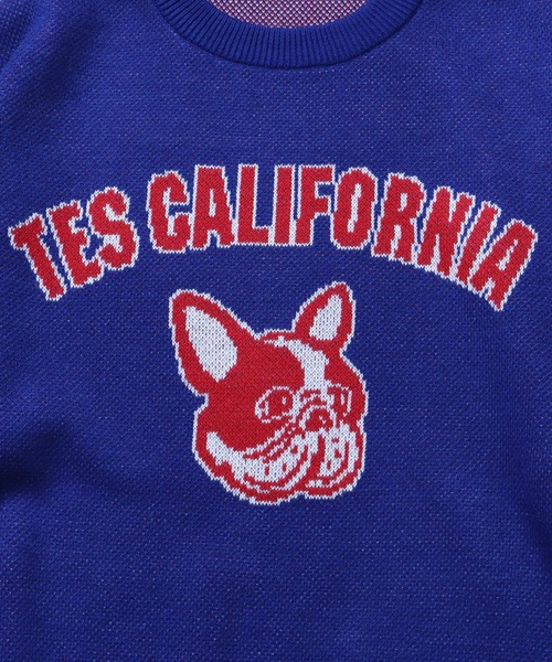 The Endless Summer（エンドレスサマー）の「TES COLLEGE BUHI CREWNECK KNIT / クルーネックニット（ニット/セーター・メンズ・ブラック/グリーン/グレー/ブルー/ネイビー・X-LARGE/SMALL/MEDIUM/LARGE）」の12枚目の写真