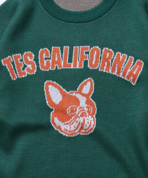 The Endless Summer（エンドレスサマー）の「TES COLLEGE BUHI CREWNECK KNIT / クルーネックニット（ニット/セーター・メンズ・ブラック/グリーン/グレー/ブルー/ネイビー・X-LARGE/SMALL/MEDIUM/LARGE）」の10枚目の写真
