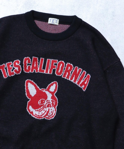 The Endless Summer（エンドレスサマー）の「TES COLLEGE BUHI CREWNECK KNIT / クルーネックニット（ニット/セーター・メンズ・ブラック/グリーン/グレー/ブルー/ネイビー・X-LARGE/SMALL/MEDIUM/LARGE）」の16枚目の写真