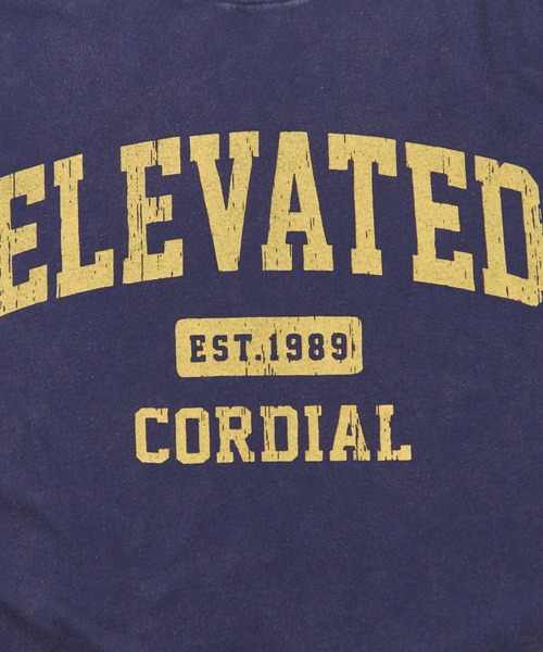 CUBE SUGAR（キューブシュガー）の「26/-OE天竺パウダー加工フリル付ビッグTシャツ（Tシャツ/カットソー・レディース・イエロー/マルチ/ネイビー/グレー/ピンク・M）」の18枚目の写真