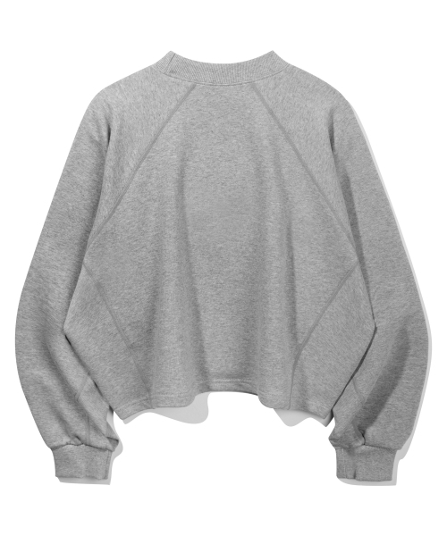 BAKKEN(バッケン)の「シグネチャーロゴセミクロップTシャツ BK4998_グレー(スウェット・レディース・グレー・FREE)」の3枚目の写真