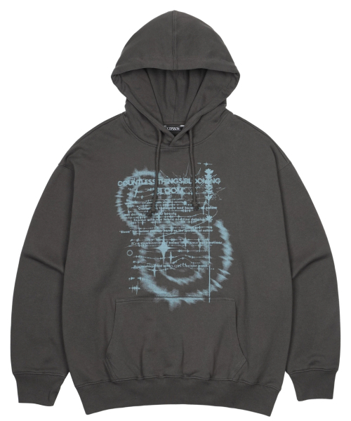 IDWS（アイドンワナセル）の「Countless Bloom Hoodie Charcoal（パーカー・レディース・その他・0/1/2）」の15枚目の写真