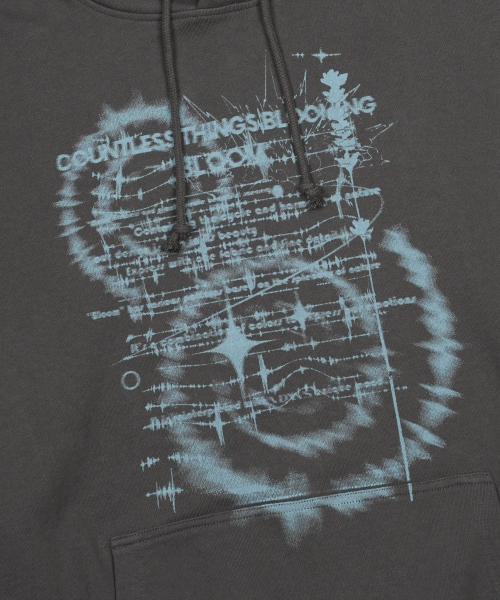 IDWS（アイドンワナセル）の「Countless Bloom Hoodie Charcoal（パーカー・レディース・その他・0/1/2）」の13枚目の写真