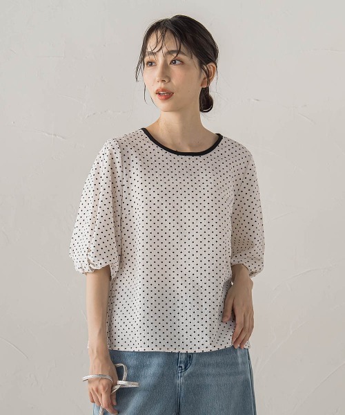 Droite lautreamont(ドロワットロートレアモン)の「【WEB限定】サッカードットブラウス(シャツ/ブラウス・レディース・ブラック/ホワイト・M)」の16枚目の写真