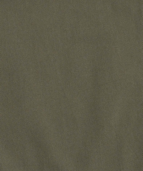 euan.（ユアン）の「euan. ワイドシルエット 2タックショーツ ショートパンツ（その他パンツ・メンズ・ブラック/ライトベージュ/オリーブ・M/L）」の9枚目の写真