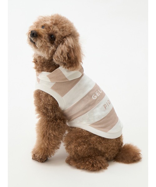 gelato pique（ジェラートピケ）の「【CAT&DOG】【販路限定商品】　コットンモダール2ボーダーフーディ（ペットウェア・レディース・ブルー/ピンク/ベージュ・SMALL/MEDIUM/LARGE）」の2枚目の写真