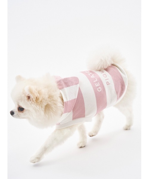 gelato pique（ジェラートピケ）の「【CAT&DOG】【販路限定商品】　コットンモダール2ボーダーフーディ（ペットウェア・レディース・ブルー/ピンク/ベージュ・SMALL/MEDIUM/LARGE）」の3枚目の写真