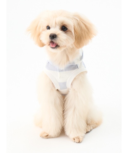 gelato pique（ジェラートピケ）の「【CAT&DOG】【販路限定商品】　コットンモダール2ボーダーフーディ（ペットウェア・レディース・ブルー/ピンク/ベージュ・SMALL/MEDIUM/LARGE）」の15枚目の写真