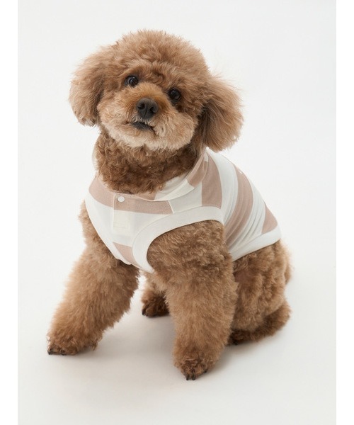 gelato pique（ジェラートピケ）の「【CAT&DOG】【販路限定商品】　コットンモダール2ボーダーフーディ（ペットウェア・レディース・ブルー/ピンク/ベージュ・SMALL/MEDIUM/LARGE）」の19枚目の写真