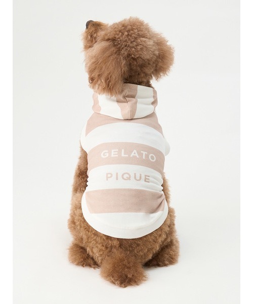 gelato pique（ジェラートピケ）の「【CAT&DOG】【販路限定商品】　コットンモダール2ボーダーフーディ（ペットウェア・レディース・ブルー/ピンク/ベージュ・SMALL/MEDIUM/LARGE）」の22枚目の写真