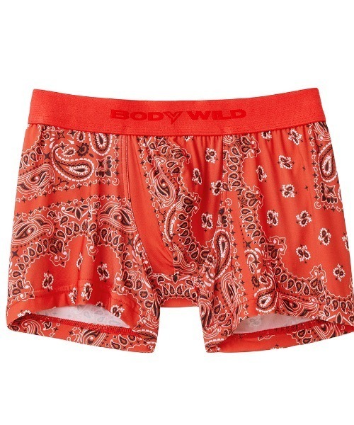 BODY WILD（ボディーワイルド）の「BODYWILD/ボディワイルド ボクサーパンツ インクジェットプリント 吸汗速乾（ボクサーパンツ・メンズ・その他1/その他5/その他4/その他3/その他2/その他6/その他11/その他12/その他8/その他10/その他9・MEDIUM/LARGE）」の22枚目の写真