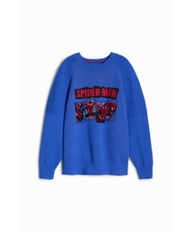 Desigual | REXMARVEL プルオーバーロングスリーブ(ニット/セーター)