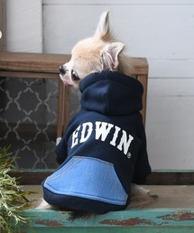 EDWIN(GhEB)EDWIN/fjCN|Pbgtp[J[(ybgEFA)