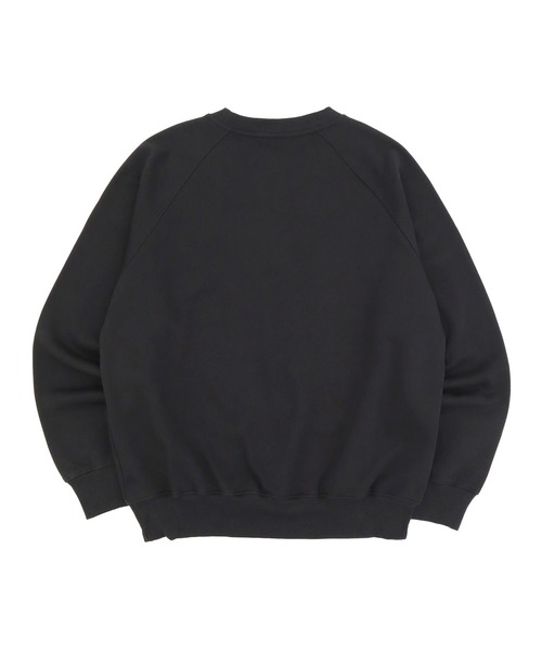 セール】ザノースフェイス エボリューション 裏起毛クルーネック