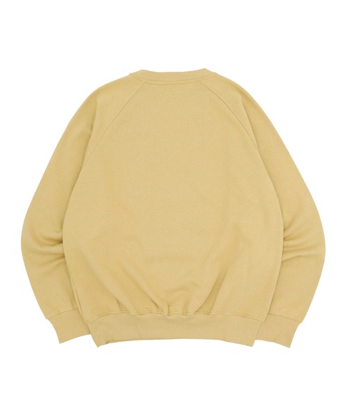 セール】ザノースフェイス エボリューション 裏起毛クルーネック