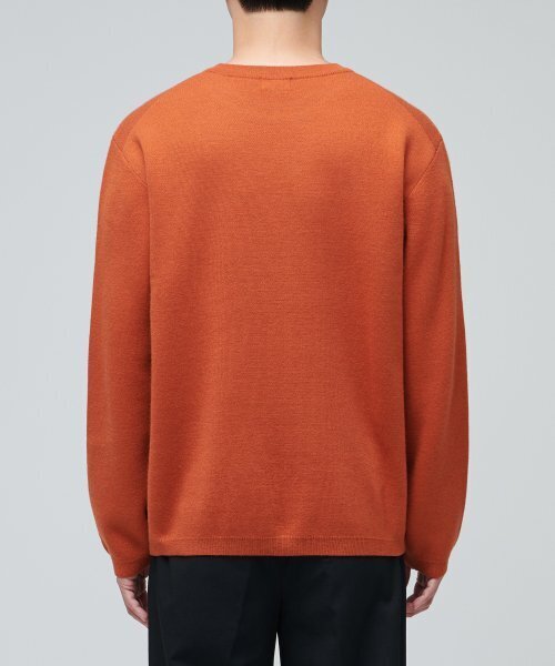 MUSINSA STANDARD（ムシンサスタンダード）の「ミニマルクルーネックニット[タンジェリン]（ニット/セーター・メンズ・その他・SMALL/MEDIUM/LARGE/X-LARGE/XX-LARGE）」の3枚目の写真