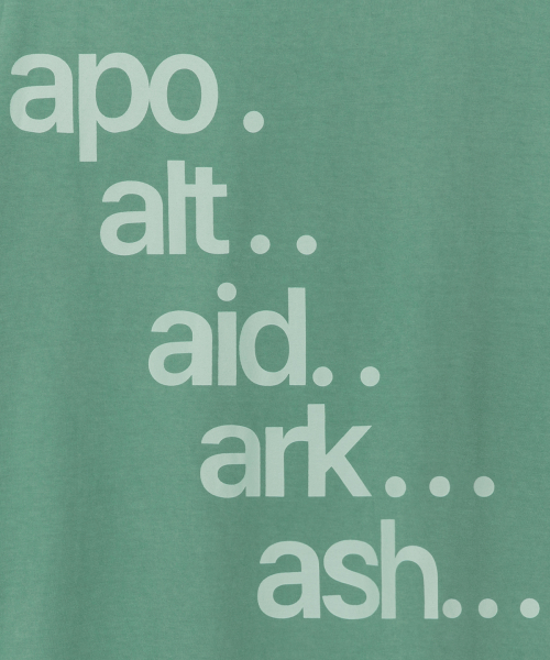 THECOLDESTMOMENT(ザコールデストモーメント)の「TCM apo T (ash green)(Tシャツ/カットソー・レディース・その他・SMALL/MEDIUM/LARGE)」の4枚目の写真