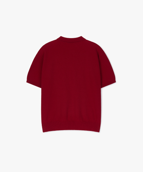 FLAWSROOM（フローズルーム）の「Pure Cotton Collar Knit RED（ニット/セーター・メンズ・その他・SMALL/MEDIUM/LARGE）」の3枚目の写真