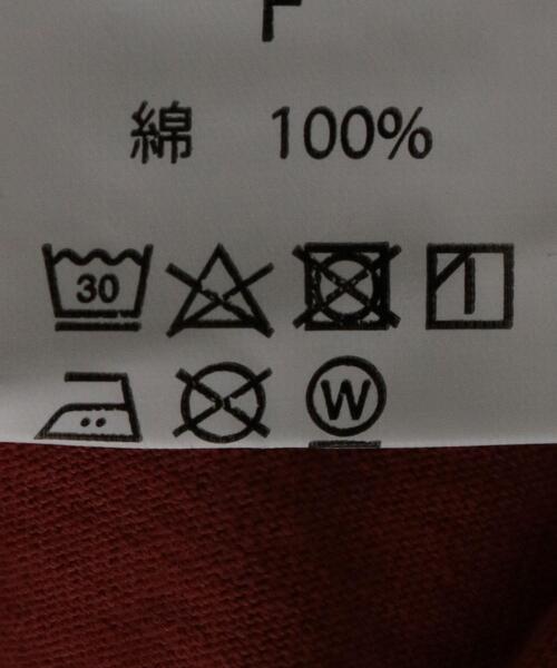 Russell Athletic（ラッセルアスレティック）の「【別注】＜RUSSELL ATHLETIC＞ビッグTシャツ（Tシャツ/カットソー・レディース・ライム/オレンジ系その他・FREE）」の19枚目の写真