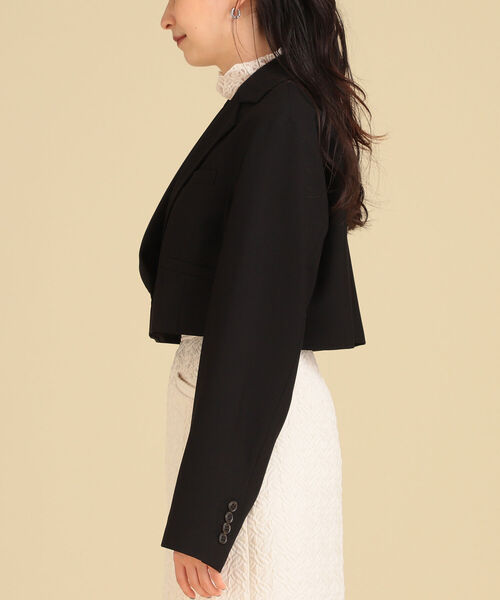 Ray BEAMS（レイビームス）の「Ray BEAMS / 2ボタン ダブル クロップド ジャケット（その他アウター・レディース・ブラック/ダークブラウン・1/0）」の18枚目の写真