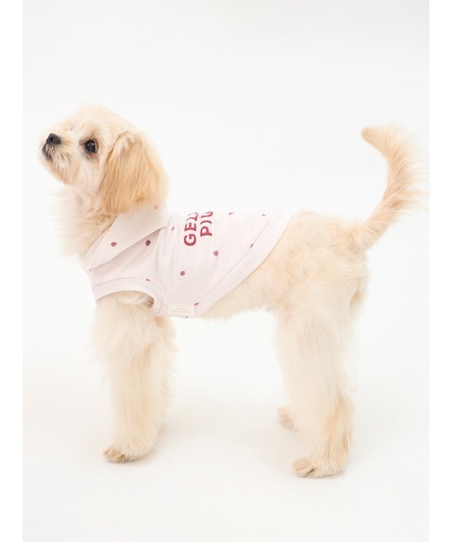 gelato pique（ジェラートピケ）の「【CAT&DOG】【販路限定商品】　コットンモダールストロベリー柄フーディ（ペットウェア・レディース・ピンク・SMALL/MEDIUM/LARGE）」の14枚目の写真