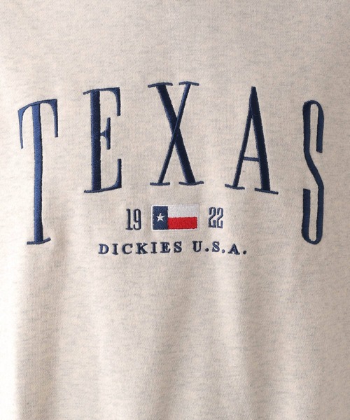 LEPSIM（レプシィム）の「【Dickies／ディッキーズ】ロゴプルオーバー　961757（Tシャツ/カットソー・レディース・グレー/ネイビー・FREE）」の17枚目の写真