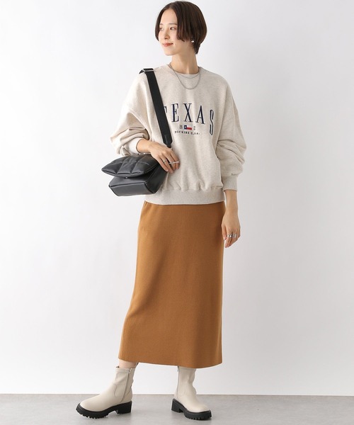 LEPSIM（レプシィム）の「【Dickies／ディッキーズ】ロゴプルオーバー　961757（Tシャツ/カットソー・レディース・グレー/ネイビー・FREE）」の4枚目の写真