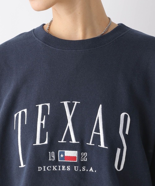 LEPSIM（レプシィム）の「【Dickies／ディッキーズ】ロゴプルオーバー　961757（Tシャツ/カットソー・レディース・グレー/ネイビー・FREE）」の12枚目の写真