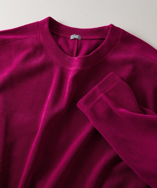 JOURNAL STANDARD relume(ジャーナルスタンダード レリューム)の「モールコーデュロイ プルオーバー(Tシャツ/カットソー・メンズ・ブラウン系その他/アイボリー/ピンク/ネイビー/ブラウン・LARGE/MEDIUM)」の5枚目の写真