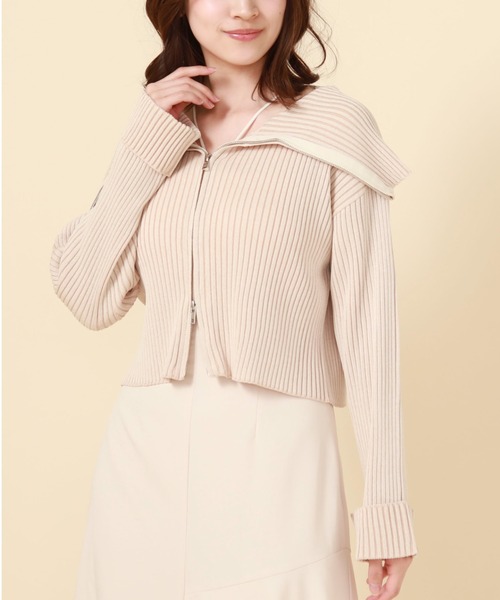 archives(アルシーヴ)の「フロントZIPオーバーカラー二重臼ニット(ニット/セーター・レディース・グレイッシュブルー/ブラック/グリーン/オレンジ・MEDIUM)」の19枚目の写真