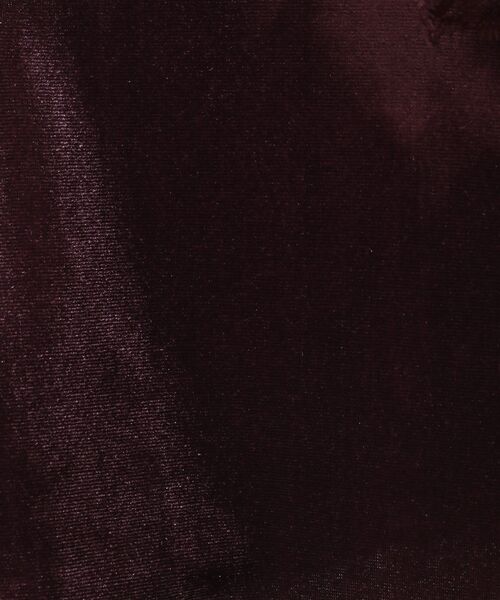 CRAFT STANDARD BOUTIQUE(クラフトスタンダードブティック)の「ベロアレース付きベスト(ベスト・レディース・ボルドー/ブラック・FREE)」の15枚目の写真