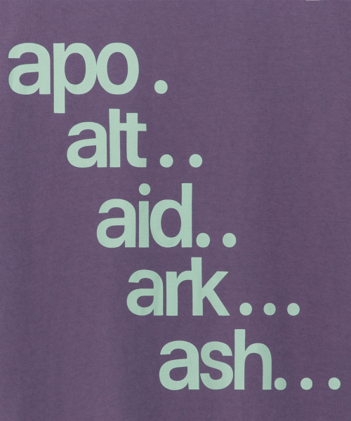 THECOLDESTMOMENT（ザコールデストモーメント）の「TCM apo T (purple)（Tシャツ/カットソー・レディース・その他・SMALL/MEDIUM/LARGE）」の5枚目の写真